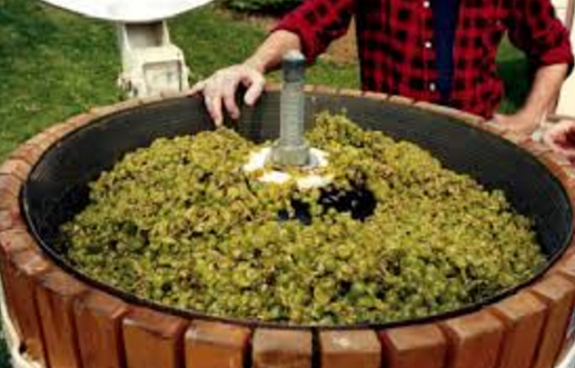 whitewinemaking